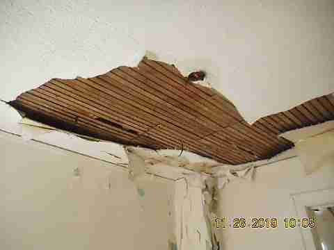 14248 Cruse (28)_m.jpg